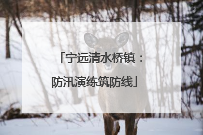 宁远清水桥镇：防汛演练筑防线