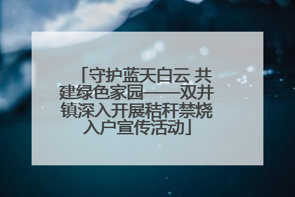 守护蓝天白云 共建绿色家园——双井镇深入开展秸秆禁烧入户宣传活动