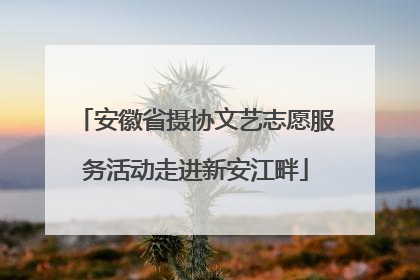 安徽省摄协文艺志愿服务活动走进新安江畔