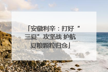安徽利辛：打好“三夏”攻坚战 护航夏粮颗粒归仓