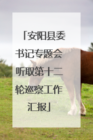 安阳县委书记专题会听取第十二轮巡察工作汇报