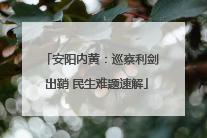安阳内黄：巡察利剑出鞘 民生难题速解
