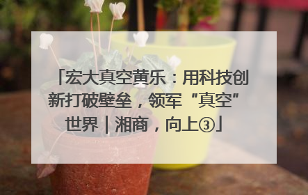 宏大真空黄乐：用科技创新打破壁垒，领军“真空”世界｜湘商，向上③