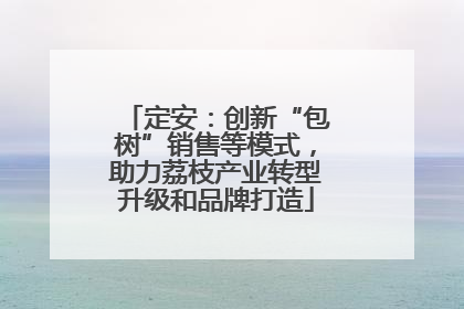 定安：创新“包树”销售等模式，助力荔枝产业转型升级和品牌打造