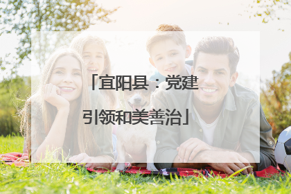 宜阳县：党建引领和美善治