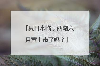 夏日来临，西湖六月黄上市了吗？