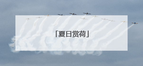 夏日赏荷