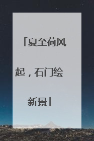 夏至荷风起，石门绘新景