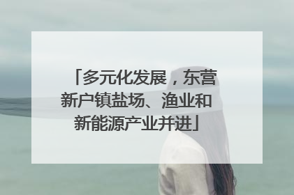多元化发展，东营新户镇盐场、渔业和新能源产业并进