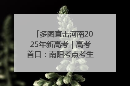 多图直击河南2025年新高考｜高考首日：南阳考点考生信心满满迎战