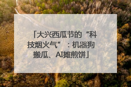 大兴西瓜节的“科技烟火气”：机器狗搬瓜、AI摊煎饼
