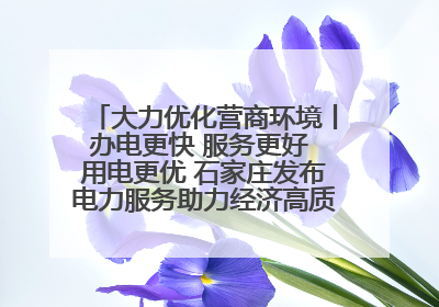 大力优化营商环境丨办电更快 服务更好 用电更优 石家庄发布电力服务助力经济高质量发展八项措施
