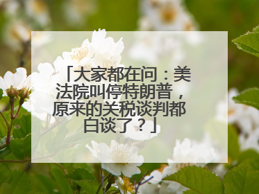 大家都在问：美法院叫停特朗普，原来的关税谈判都白谈了？
