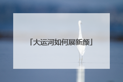 大运河如何展新颜