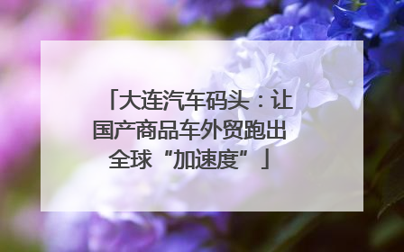 大连汽车码头：让国产商品车外贸跑出全球“加速度”