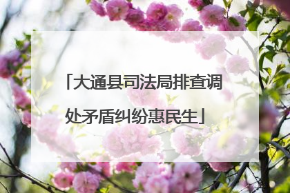 大通县司法局排查调处矛盾纠纷惠民生