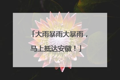 大雨暴雨大暴雨，马上抵达安徽！