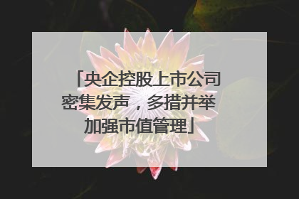 央企控股上市公司密集发声，多措并举加强市值管理