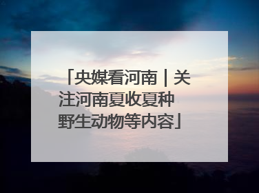 央媒看河南｜关注河南夏收夏种 野生动物等内容