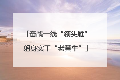 奋战一线“领头雁” 躬身实干“老黄牛”