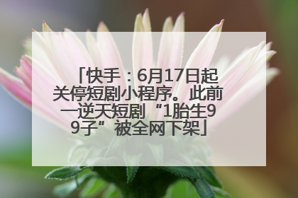快手：6月17日起关停短剧小程序。此前一逆天短剧“1胎生99子”被全网下架