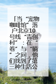 当“宠物咖啡馆”落户北京10号线“青创村”：在“卷”与“躺”之间，他们找到了第三种生活公式