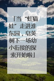 当“虹猫娃”走进淮东园，皂荚树下一场幼小衔接的探索开始啦