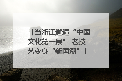 当浙江邂逅“中国文化第一展” 老技艺变身“新国潮”