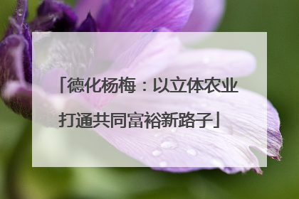 德化杨梅：以立体农业打通共同富裕新路子