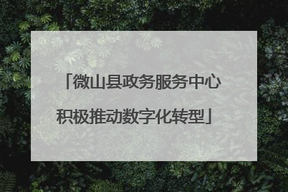微山县政务服务中心积极推动数字化转型