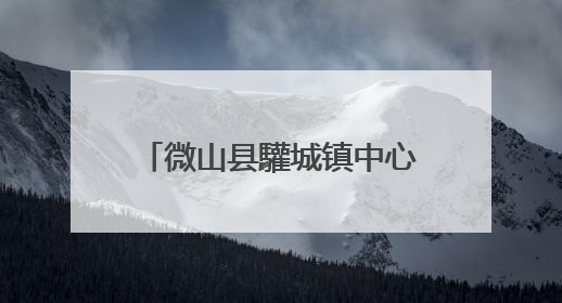 微山县驩城镇中心幼儿园开展“端午粽香情 师生共传承”端午节活动
