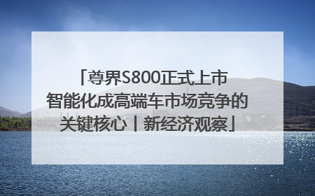 尊界S800正式上市 智能化成高端车市场竞争的关键核心丨新经济观察