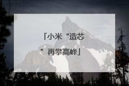 小米“造芯”再攀高峰