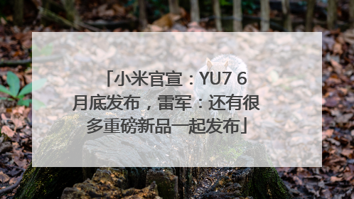 小米官宣：YU7 6月底发布，雷军：还有很多重磅新品一起发布
