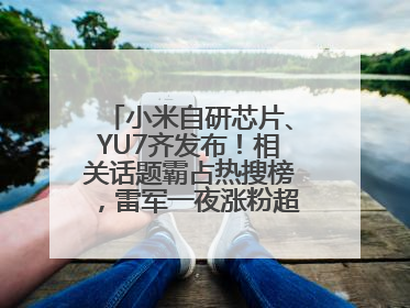 小米自研芯片、YU7齐发布！相关话题霸占热搜榜，雷军一夜涨粉超20万