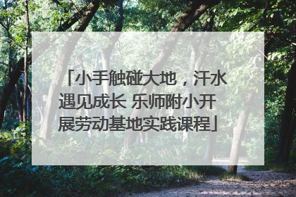 小手触碰大地,汗水遇见成长 乐师附小开展劳动基地实践课程