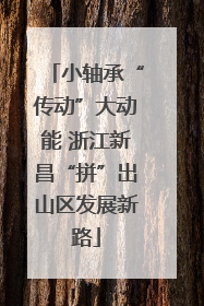 小轴承“传动”大动能 浙江新昌“拼”出山区发展新路