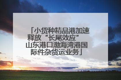 小货种精品港加速释放“长尾效应” 山东港口渤海湾港国际件杂货运业务