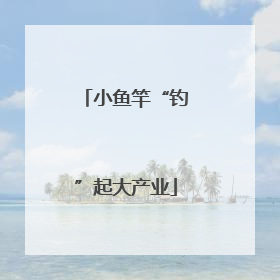小鱼竿“钓”起大产业