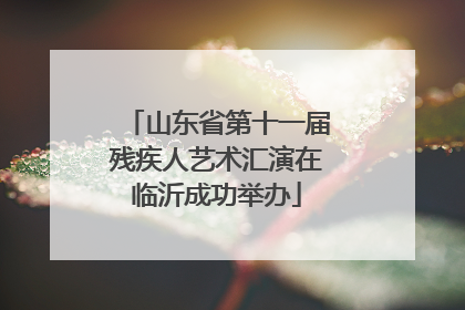 山东省第十一届残疾人艺术汇演在临沂成功举办