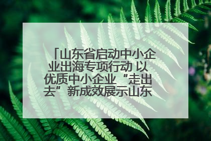 山东省启动中小企业出海专项行动 以优质中小企业“走出去”新成效展示山东产业发展新形象