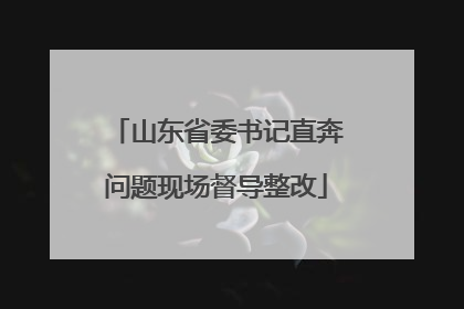 山东省委书记直奔问题现场督导整改