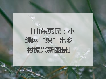 山东惠民：小绳网“织”出乡村振兴新图景
