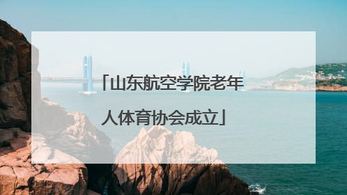 山东航空学院老年人体育协会成立
