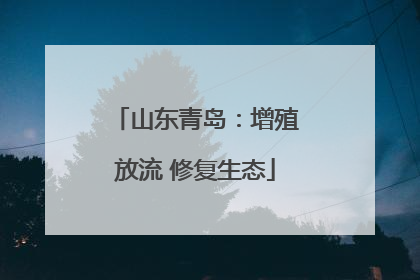 山东青岛：增殖放流 修复生态