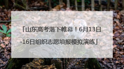 山东高考落下帷幕！6月13日-16日组织志愿填报模拟演练