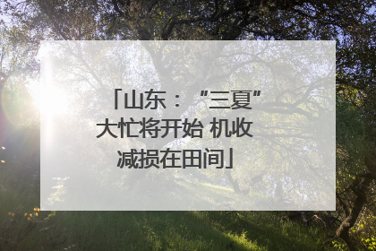 山东：“三夏”大忙将开始 机收减损在田间