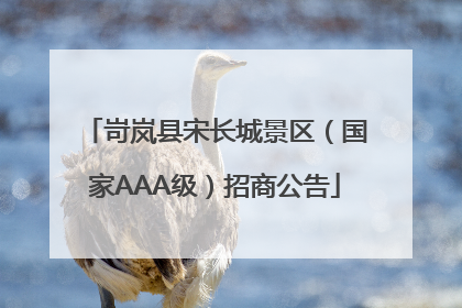 岢岚县宋长城景区（国家AAA级）招商公告