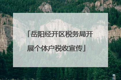 岳阳经开区税务局开展个体户税收宣传
