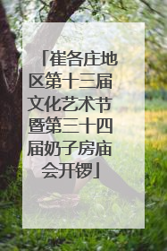 崔各庄地区第十三届文化艺术节暨第三十四届奶子房庙会开锣